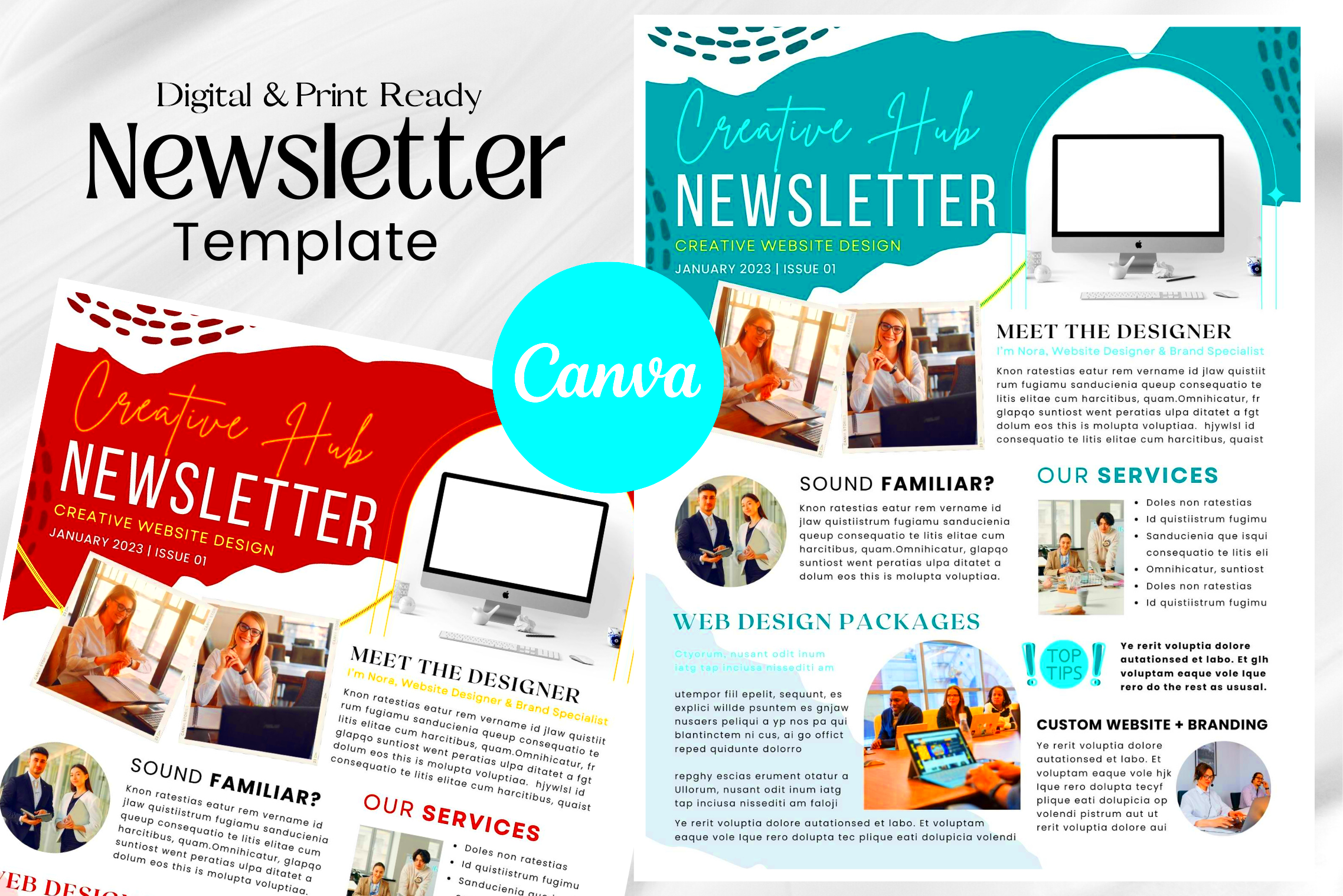 Editable Canva Newsletter Template Creative Market