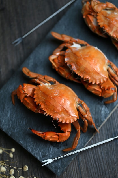 Steamed Crabs – Free Stock Photo, Download for Free