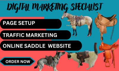 Design an Equestrian Horse Saddle Website for Winning Products Hunting