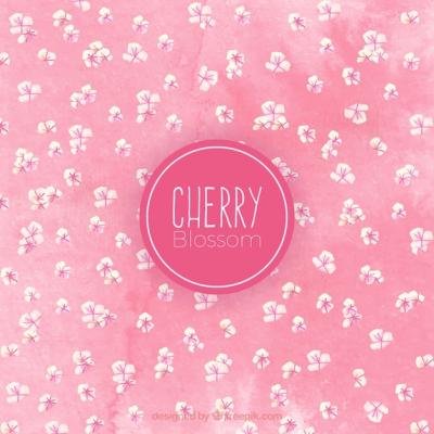 Pink Watercolor Cherry Blossom Background – Free to Download