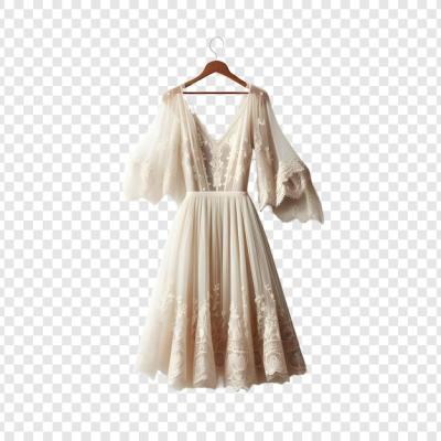 A White Dress with Gold Embroidery on a Hanger – Free Download