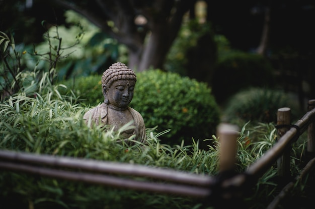 Gray Buddha Surrounded by Lush Green Plants – Free Stock Photo Download