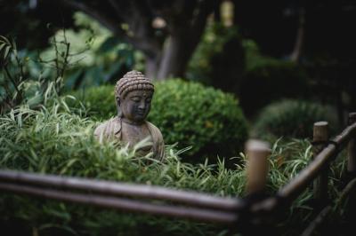 Gray Buddha Surrounded by Lush Green Plants – Free Stock Photo Download