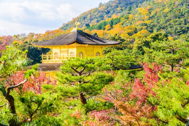 Kinkakuji Temple – Free Download Free Stock Photo