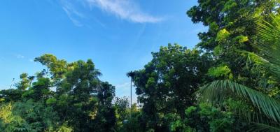 A Tree with a Sign That Says Welcome to the Sky – Free Stock Photo for Download