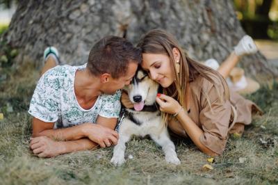 Young Couple and Husky – Free Stock Photos for Download