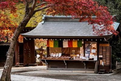 Japanese Temple Surrounded by a Leaning Tree – Free Stock Photo for Download