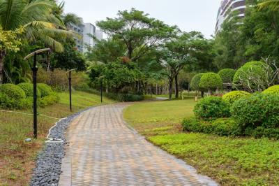 Asphalt Path Surrounded by Tropical Plants in Sanya City – Free Download