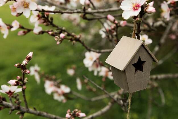 Small Wooden House in a Tree – Free Stock Photo for Download