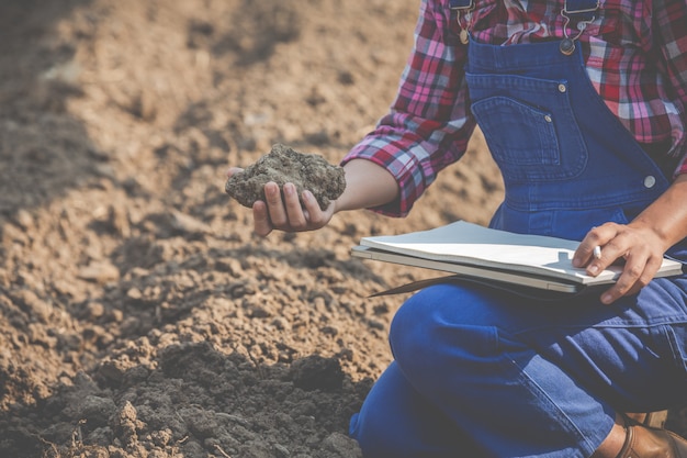 Researching Soil: Women Farmers in Action – Free Download