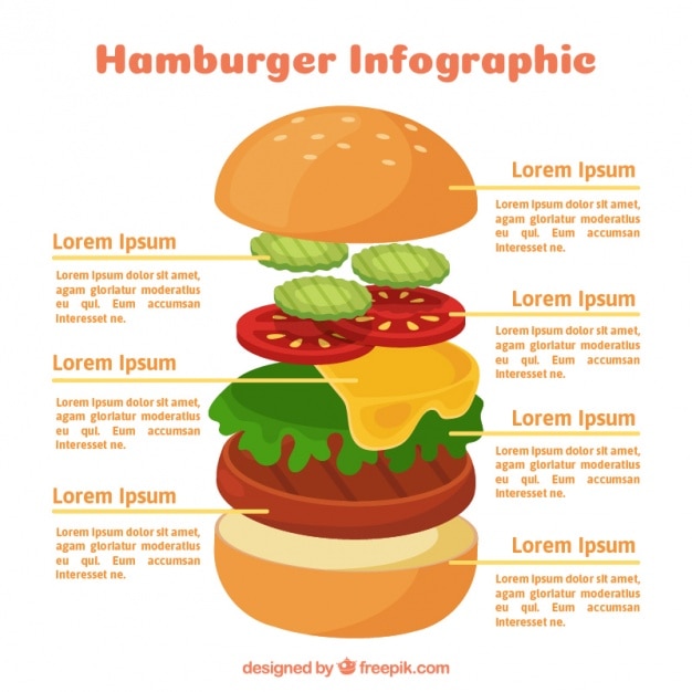 Tasty Hamburger Infographic – Free Download