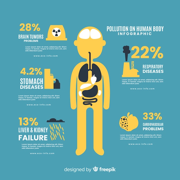 Pollution Effects on the Human Body Infographic – Free Download