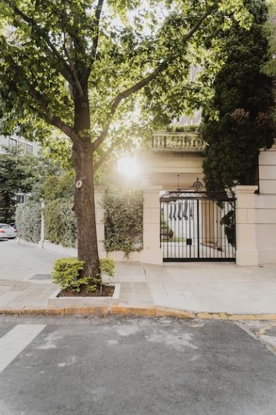 City Street with Trees and Building Entrance – Free Stock Photo, Download Free