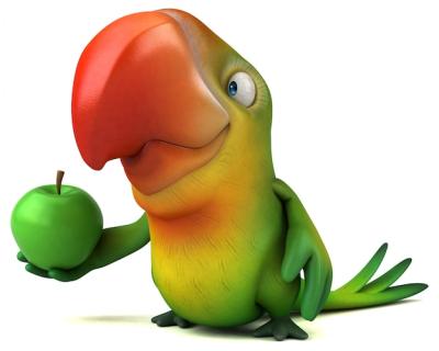 Parrot Animation: Fun and Playful Design – Free Download