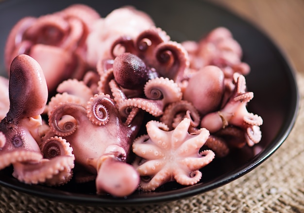 Boiled Small Octopus on a Plate – Free to Download