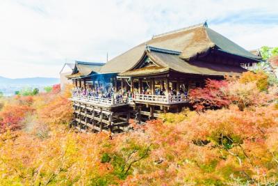 Stunning Kiyomizu Temple Architecture in Kyoto, Japan – Free Download