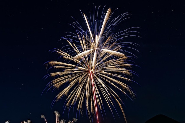 Stunning Firework Display – Free Download, Free Stock Photo