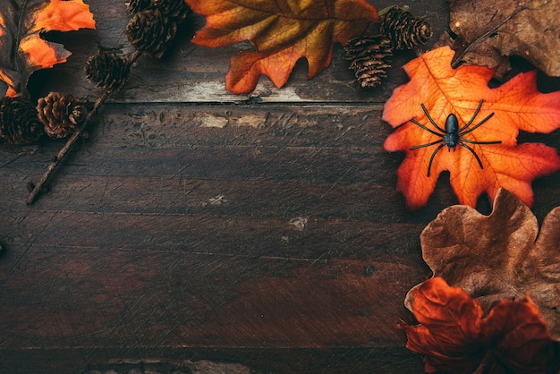 Halloween Wooden Table Adorned with Colorful Leaves – Free to Download