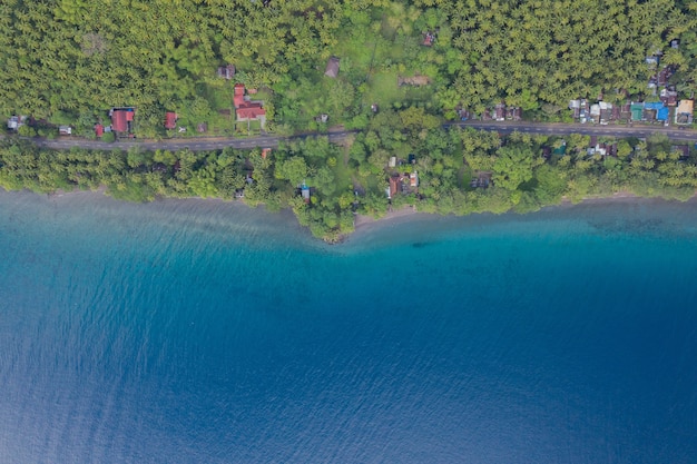 Wide Angle Ocean View at a Tree-Covered Beach – Free Download