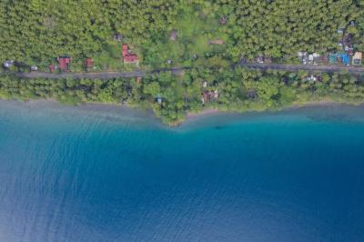 Wide Angle Ocean View at a Tree-Covered Beach – Free Download