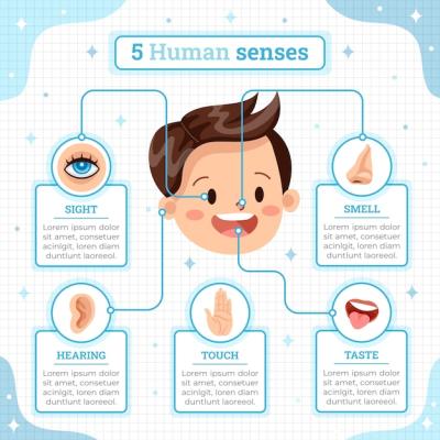 Hand Drawn 5 Senses Infographic for Creative Projects – Free Download