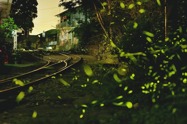 Fireflies on Rails – Free to Download Stock Photo