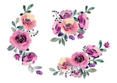 Purple Rose Flower Arrangement Collection – Watercolor Vector Templates for Free Download