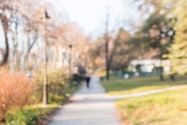 Blurry Background of Garden Pathway and Autumn Trees – Free Stock Photo Download