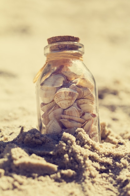 Seashells in Bottles on Sand: Summer Vacation Concept – Free Download