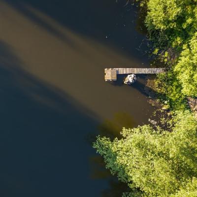 Aerial View of a Sunny Lake Surrounded by Pine Tree Forest – Free Stock Photo for Download