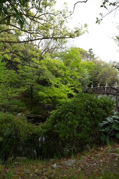 Vertical Shot of Trees and an Old Bridge Under a Cloudy Sky – Free Download