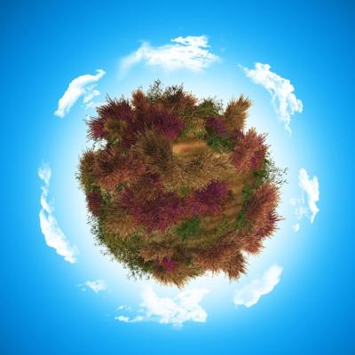 3D Globe Featuring Heather and Fern – Free Download