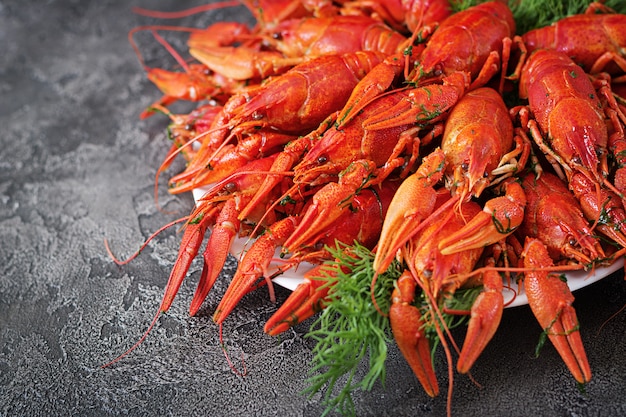 Red Boiled Crawfishes on Rustic Table – Closeup Free Stock Photo, Download for Free