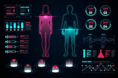 Medical Infographic: Charts Featuring Woman and Man – Free Download