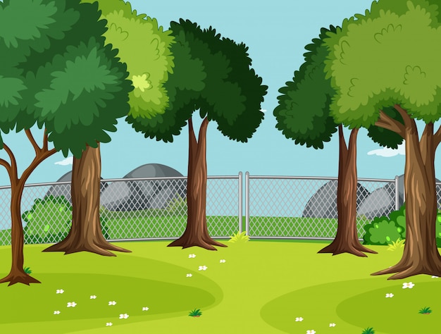 Blank Scene in the Park with Big Trees – Free Download