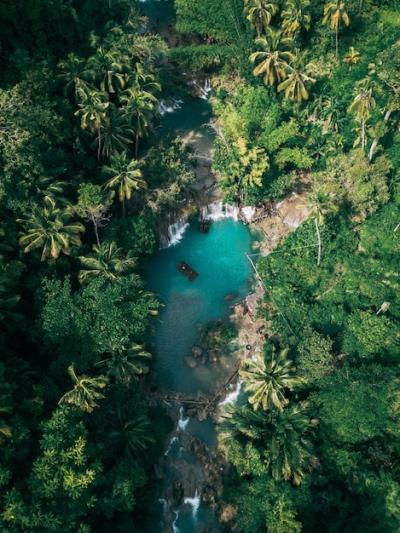 Beautiful Waterfall Surrounded by Lush Greens â Free Stock Photo for Download