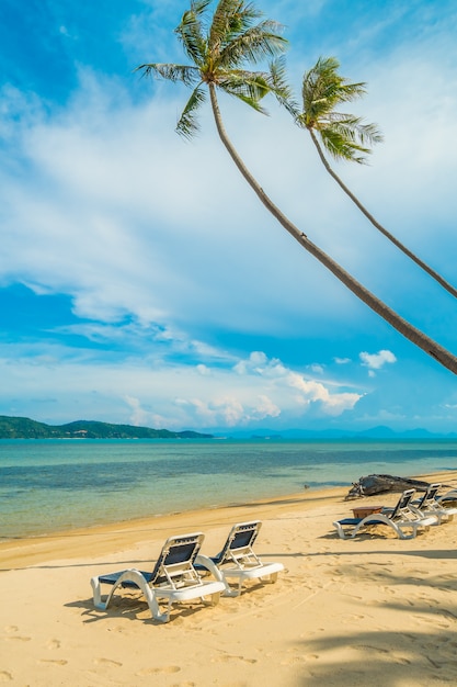 Beautiful Tropical Beach with Coconut Palm Tree and Chair – Free Stock Photo for Download