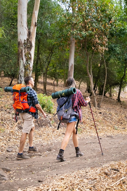 Young Travelers Hiking in a Sunny Forest – Free Download