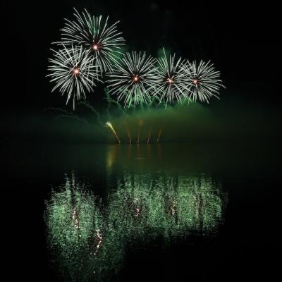 Stunning Green Fireworks Captured at Night – Free Download