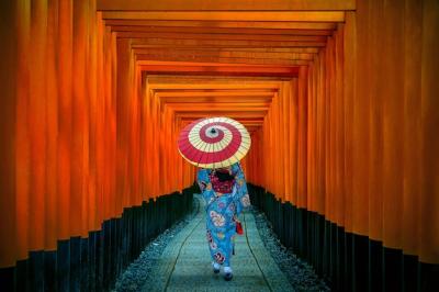 Beautiful Asian Women in Traditional Japanese Kimonos at Fushimi Inari Shrine, Kyoto – Free Download