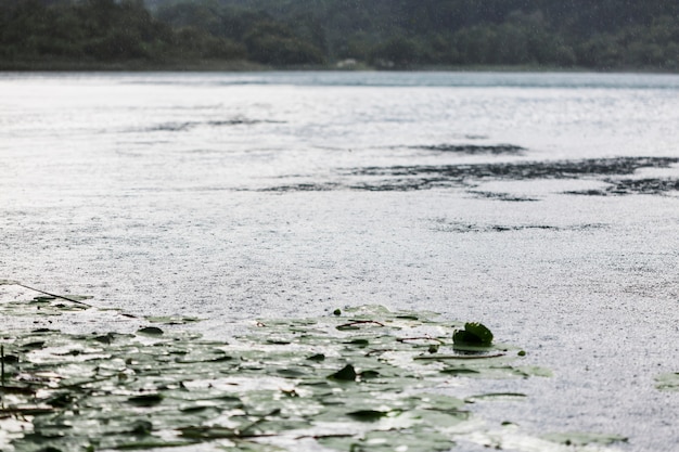 Raindrop Impact on Rippling Water Surface – Free Stock Photo, Download for Free