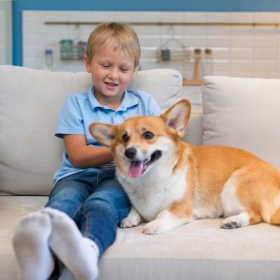 Adorable Young Boy with Dog – Free to Download Stock Photo