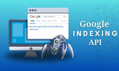 I Will Give You Google Instant Indexing API Service