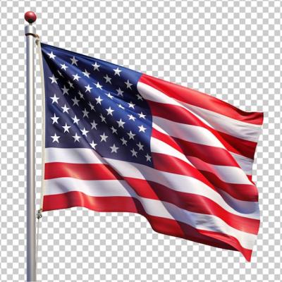 USA Flag Waving in Breeze on a Sunny Clear Day – Free to Download