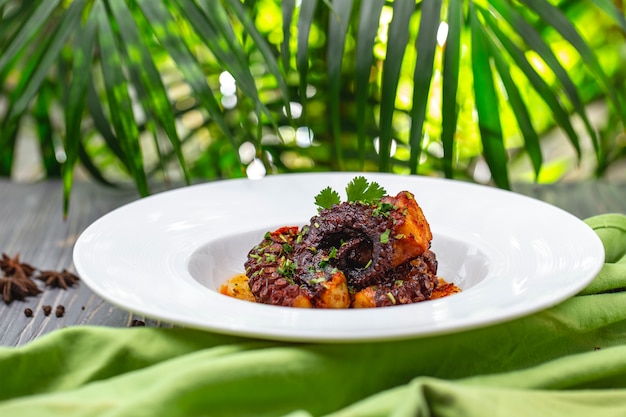 Stewed Octopus with Potato and Greens on a Plate – Free Download