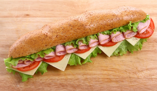 Delicious and Fresh Sandwich – Download Free Stock Photo