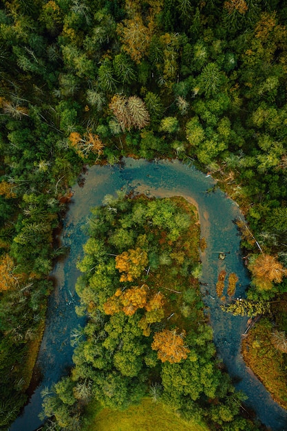 Curly Flowing River Through a Dense Forest on an Autumn Day – Free Download