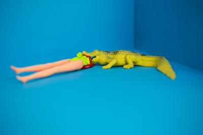 Crocodile and Doll – Free Stock Photo for Download