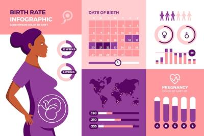 Birth Rate Infographic Template – Free Download