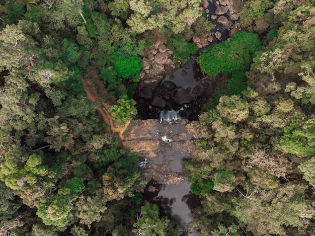 Aerial View of a Water Stream Surrounded by Lush Green Trees – Free Download